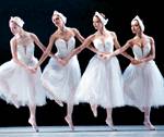 Swan Lake photo page link